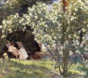Peder Severin Kroyer Rose Garden oil painting reproduction